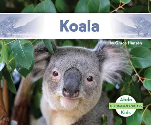 Koala (Australian Animals)