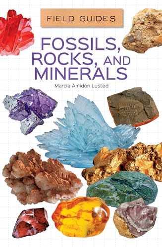 Fossils, Rocks, and Minerals