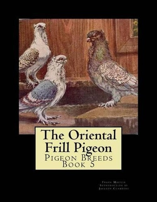 The Oriental Frill Pigeon