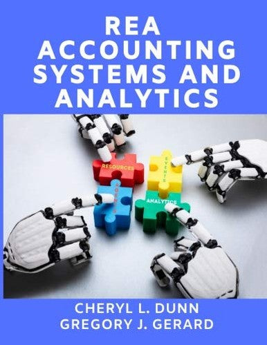 REA Accounting Systems and Analytics