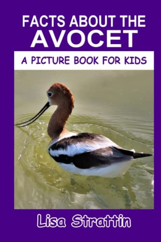Facts About the Avocet (A Picture Book For Kids)