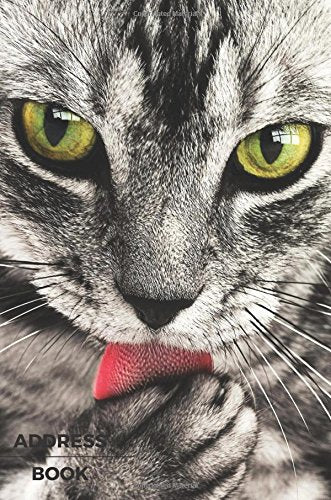 Address Book : Birthdays and Address Book for Contacts, Addresses, Phone Numbers, Email, Organizer Journal Notebook A5 (Address Books)