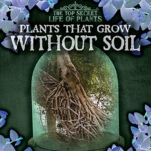Plants That Grow Without Soil