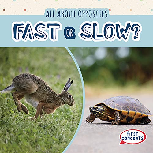Fast or Slow?
