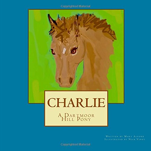 Charlie a Dartmoor Hill Pony
