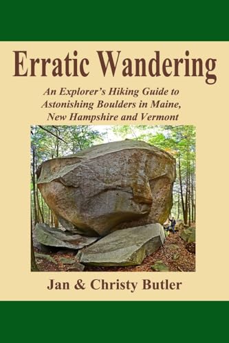 Erratic Wandering