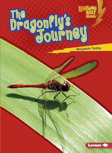 The Dragonfly's Journey
