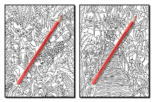 Secret Jungle: An Adult Coloring Book with Exotic Tropical Animals, Mysterious Nature Scenes, and Flower Patterns for Relaxation
