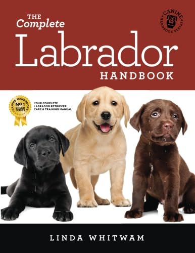 The Complete Labrador Handbook The Essential Guide for New  Prospective Labrador Owners Canine Handbooks