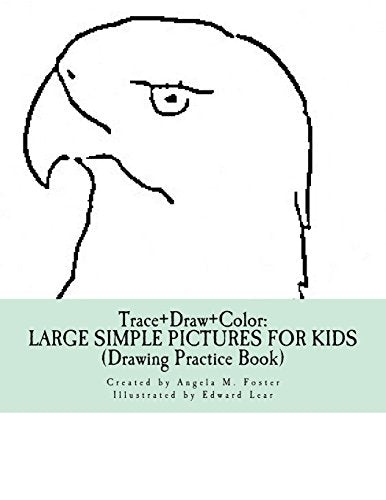Trace+Draw+Color
