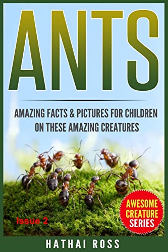Ants
