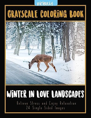 Winter In Love Landscapes