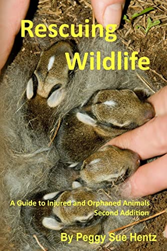 Rescueing Wildlife