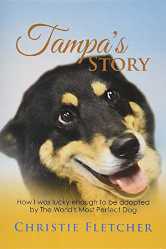 Tampa's Story