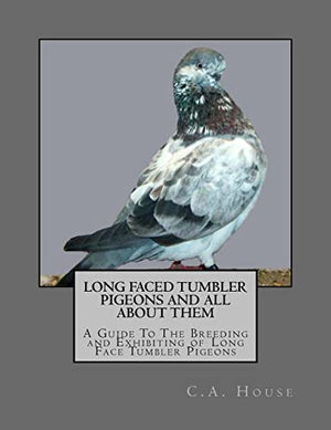 Long Faced Tumbler Pigeons and All About Them