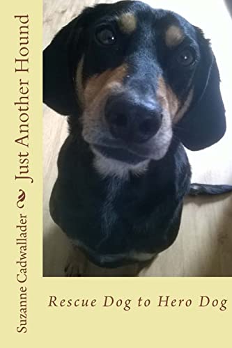 Just Another Hound