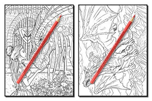 Dragons: An Adult Coloring Book with Mythical Fantasy Creatures, Beautiful Warrior Women, and Epic Fantasy Scenes for Dragon Lovers