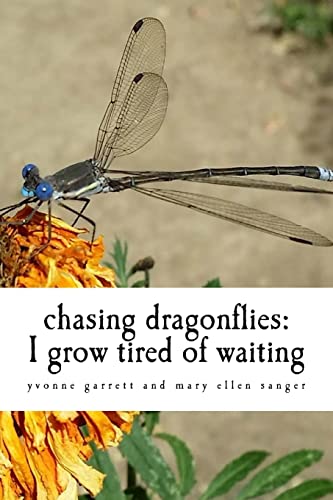 chasing dragonflies