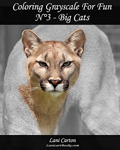 Coloring Grayscale For Fun - N Degrees3 - Big Cats
