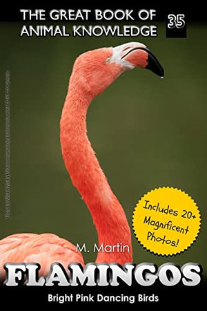 Flamingos
