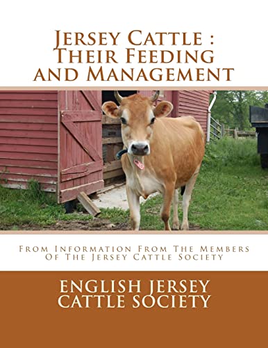 Jersey Cattle