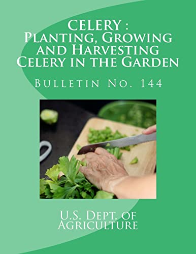 Celery