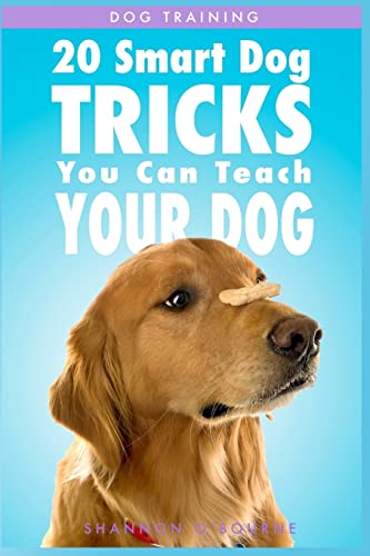 Dog Training