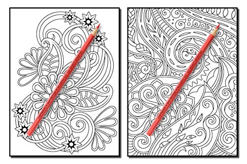 Coloring Books for Adults Relaxation: 100 Magical Swirls Coloring Book with Fun, Easy, and Relaxing Designs