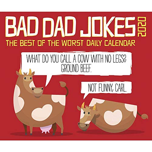 Bad Dad Jokes 2020 Box Calendar