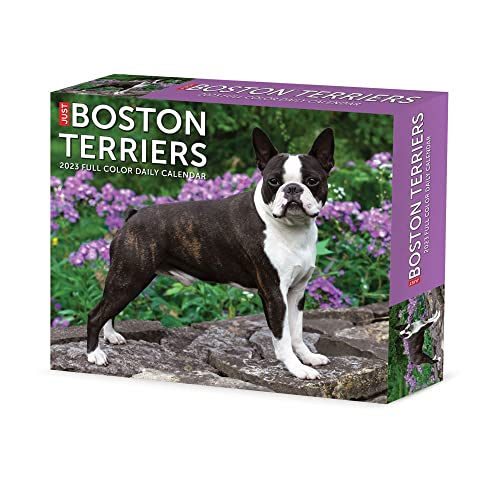 Boston Terriers 2023 Box Calendar