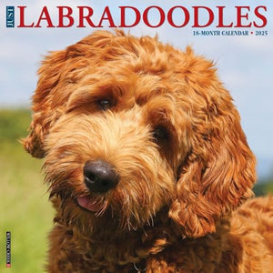 Labradoodles 2026 12 X 12 Wall Calendar 
