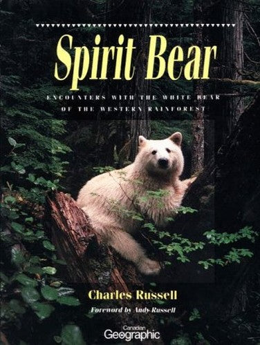 Spirit Bear