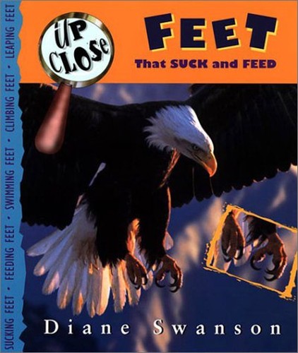 Feet