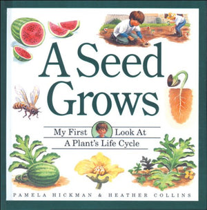 A Seed Grows