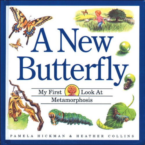 A New Butterfly