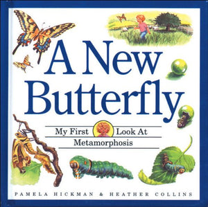 A New Butterfly