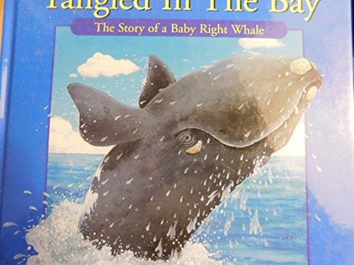 Tangled in the Bay