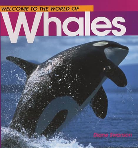 Welcome Whales (Wonderful Worl