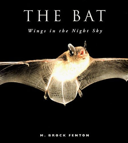The Bat