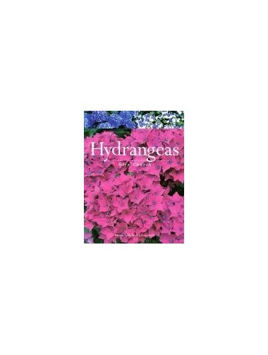Hydrangeas