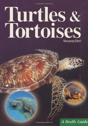 Turtles & Tortoises