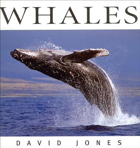 Whales