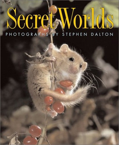 Secret Worlds