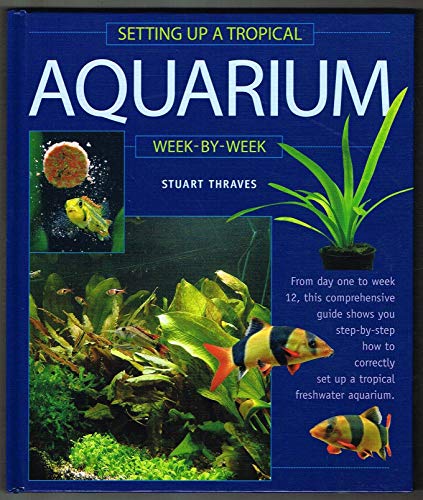 Setting Up a Tropical Aquarium Week by Week