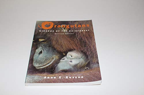 Orangutans