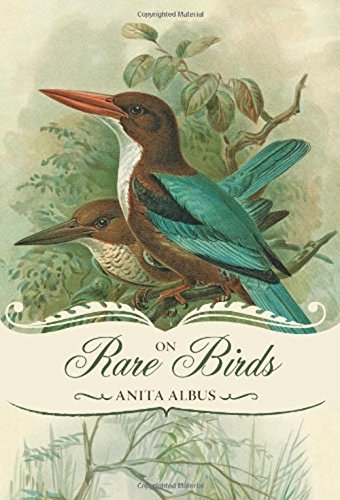 On Rare Birds