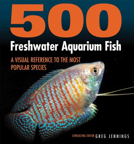 500 Freshwater Acquarium Fish