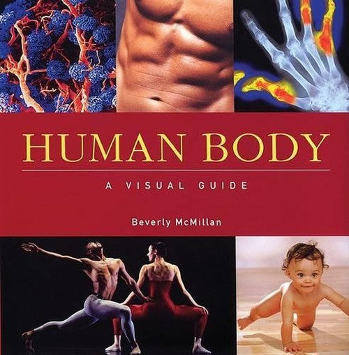 Human Body