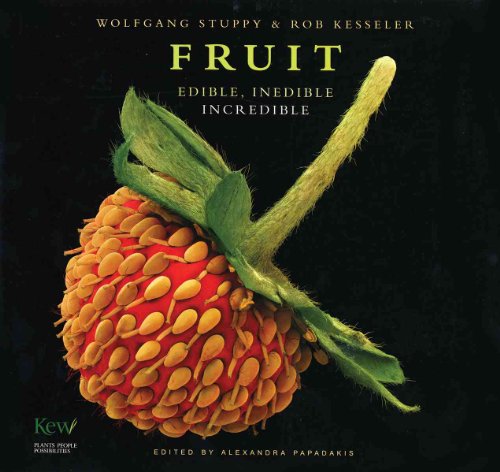 Fruit