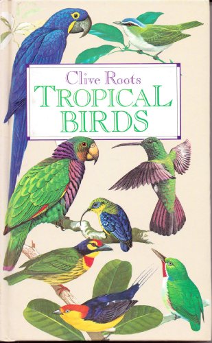 Tropical Birds